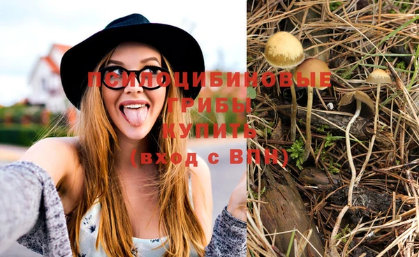 jwh Вязьма