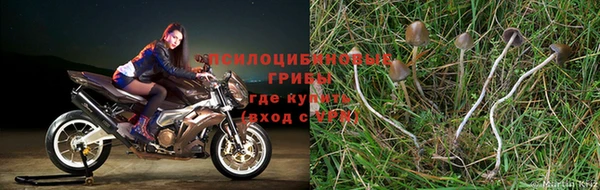 jwh Вязьма
