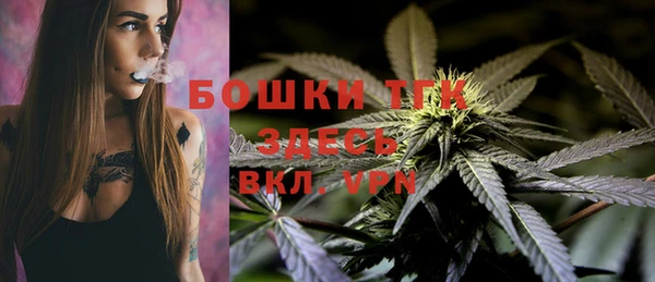 сатива Вязники